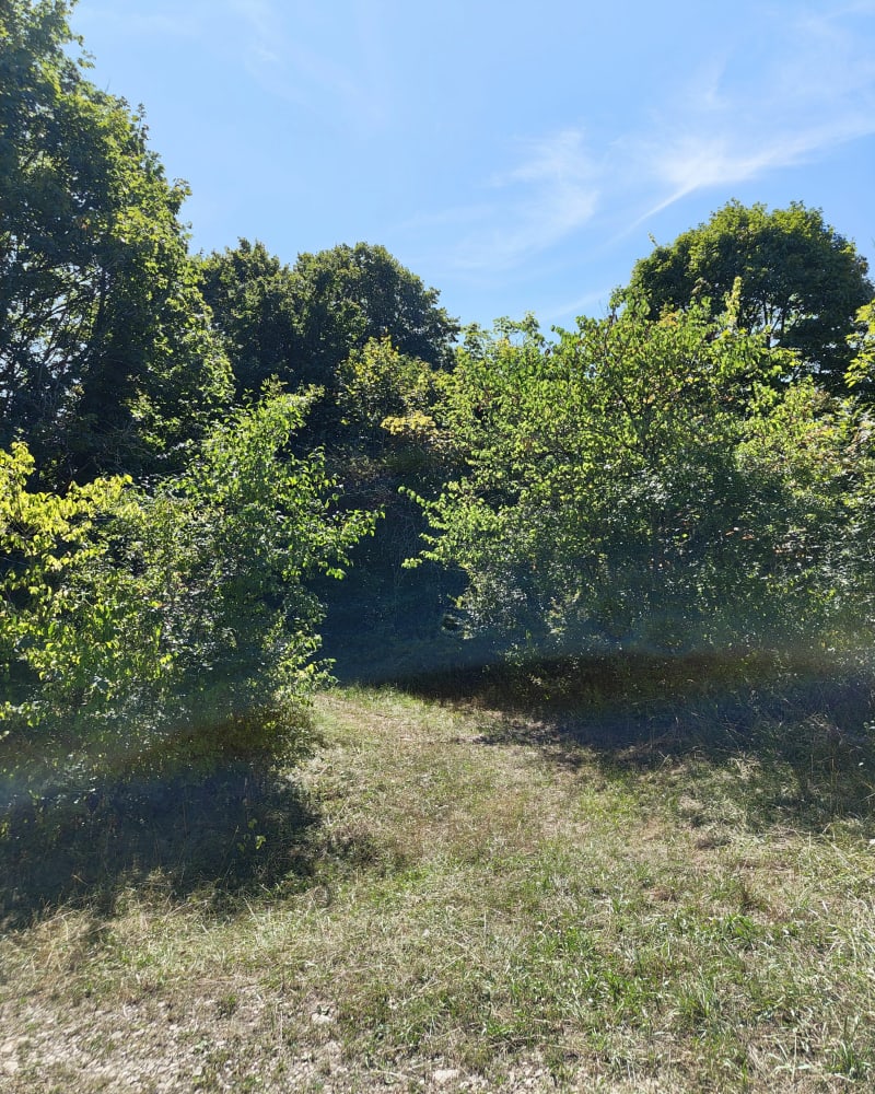 Petite balade dans les bois de Jugy - Jugy