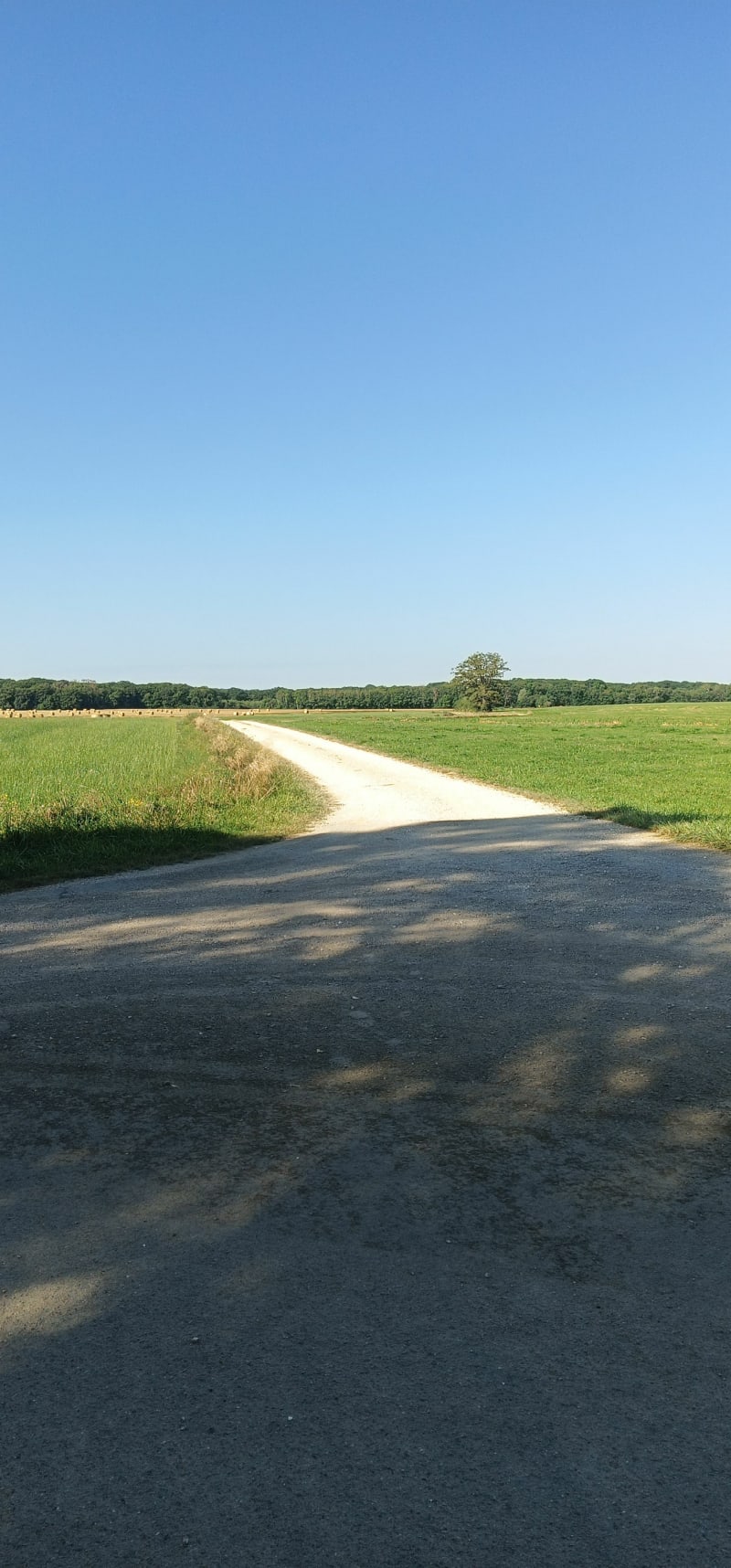 Balade familiale à Oëlleville - Oëlleville