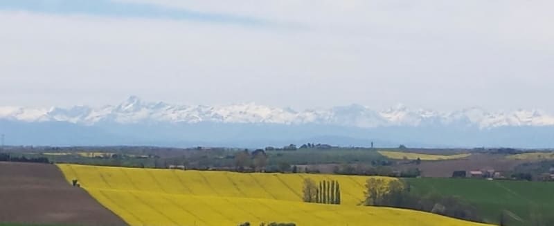 Boucle vallonnée de Ramonville avec découverte du Lauragais - Ramonville-Saint-Agne