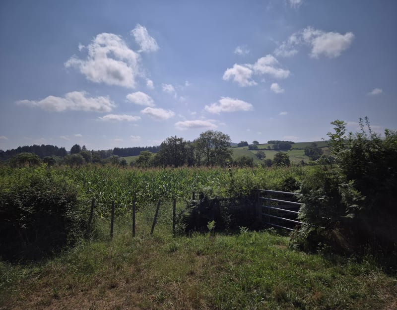 Superbe rando à VTT depuis Dompierre - Dompierre-les-Ormes