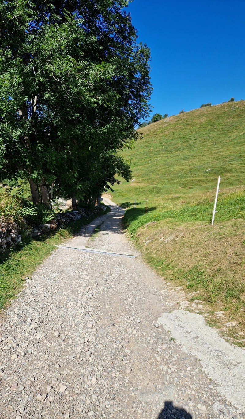 Boucle sur le plateau de Plaines Joux, vue Mont Blanc - Onnion