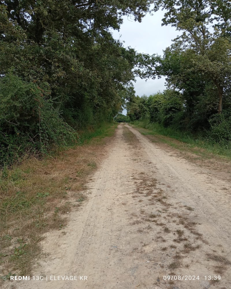 Balade en forêt de Longuenée - Erdre-en-Anjou
