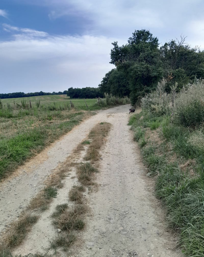 Chaponnay petite boucle - Chaponnay