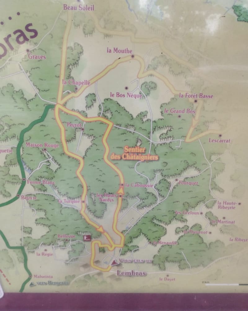Sentier des châtaigniers à Lembras - Lembras