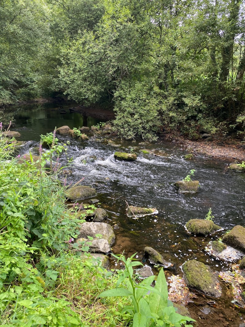 Randonnée du Moulin Fouleur - Saint-Denis-le-Gast