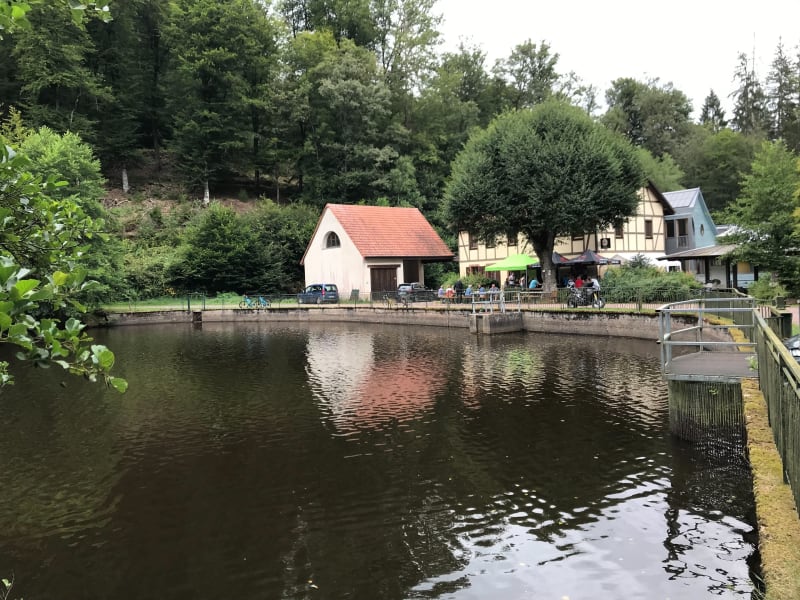 Balade étang du Donenbach à Fromuhl - Hinsbourg