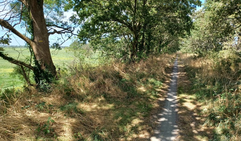 Marais de Donges - Donges