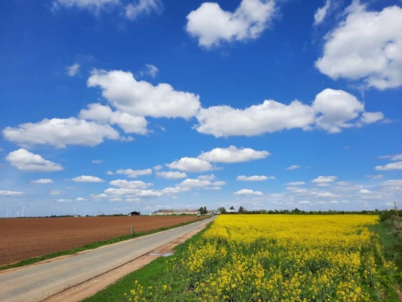 Cœur de Beauce - Janville-en-Beauce