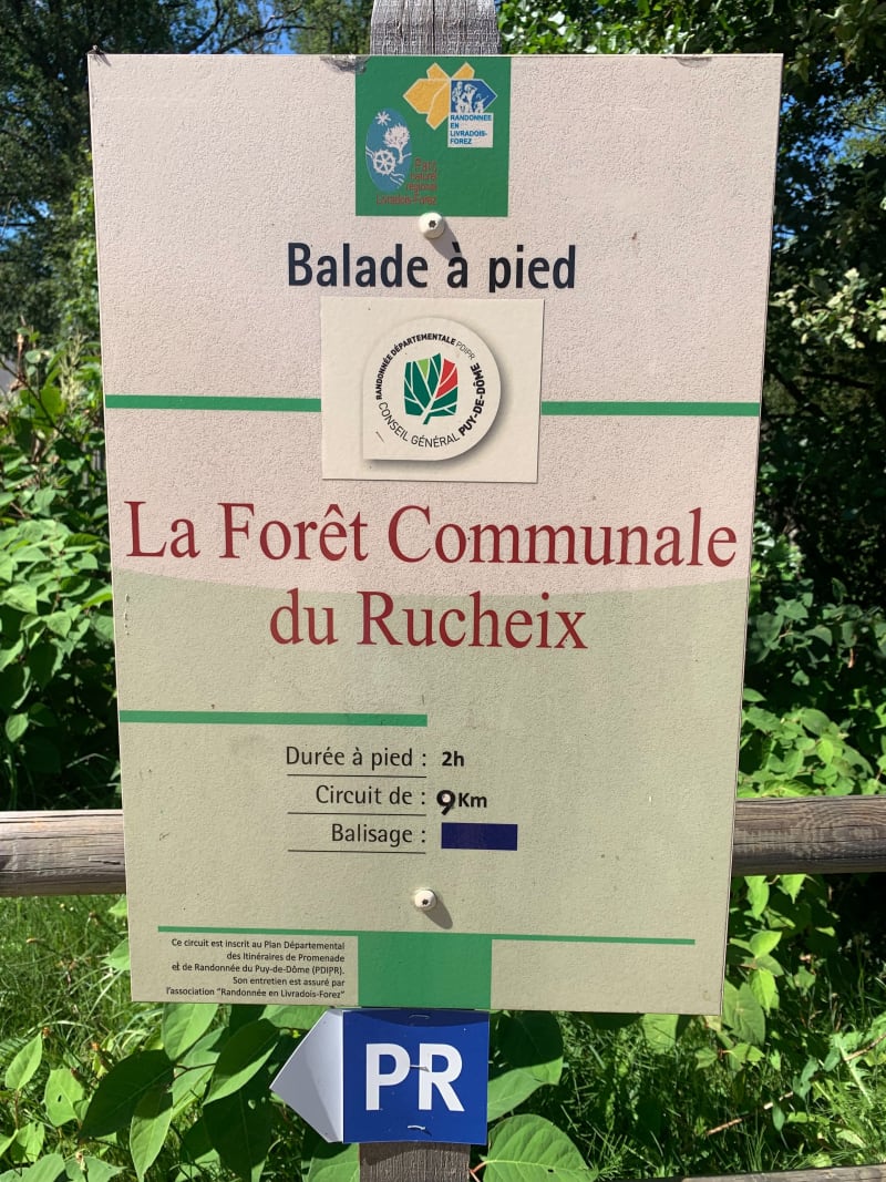 La forêt communale du Rucheix - Marat