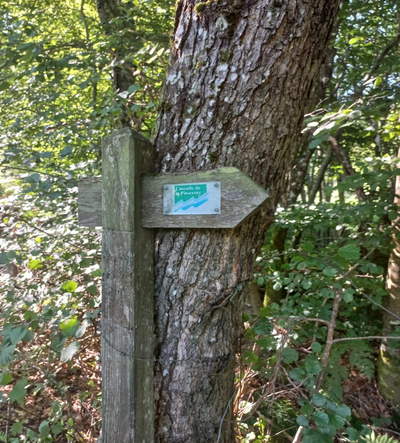 Balade à la Cascade de la Pisserote - Arfeuilles