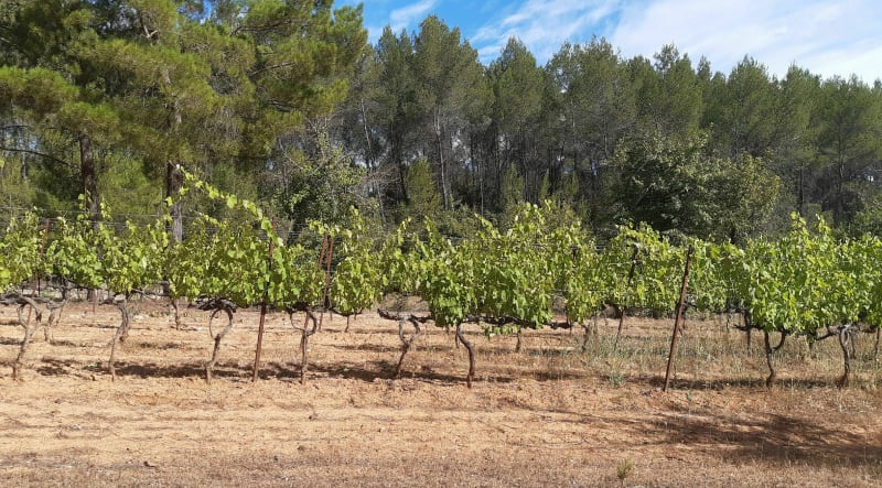 Domaine de Restinclieres Hérault - Prades-le-Lez