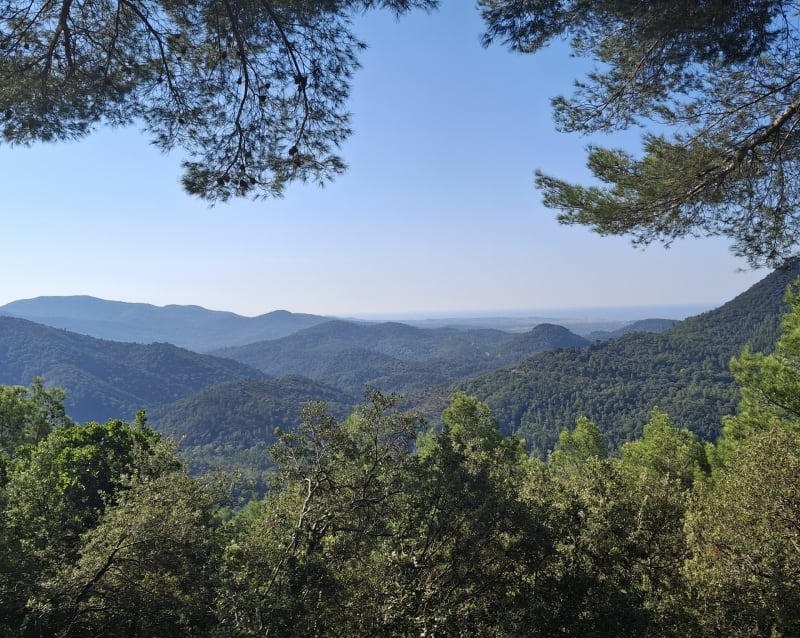 Balade sur le chemin de la Rouvière - Bagnols-en-Forêt