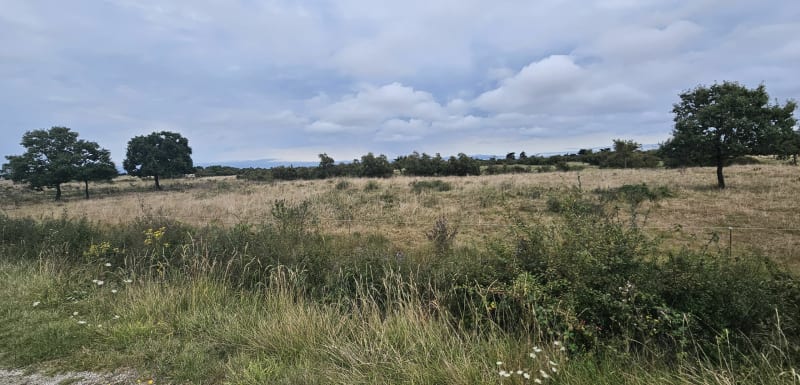Boucle depuis la Gibertière - Saint-Georges-d'Oléron