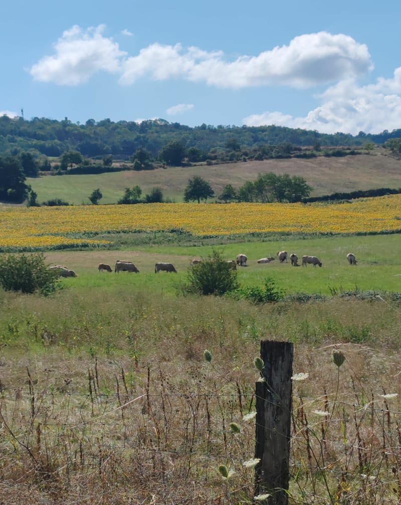 Balade au dessus de Lempdes sur Allagnon - Lempdes-sur-Allagnon