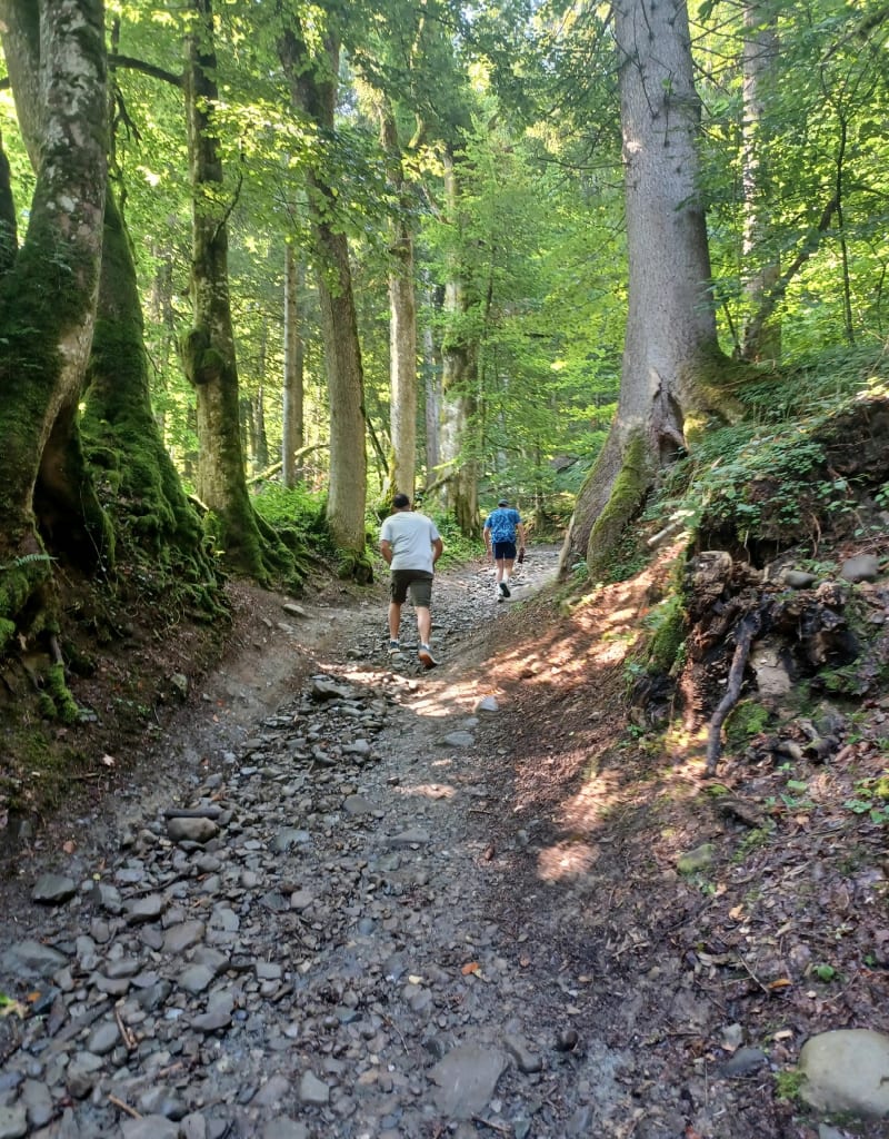 Rando ombragée à Samoëns - Samoëns