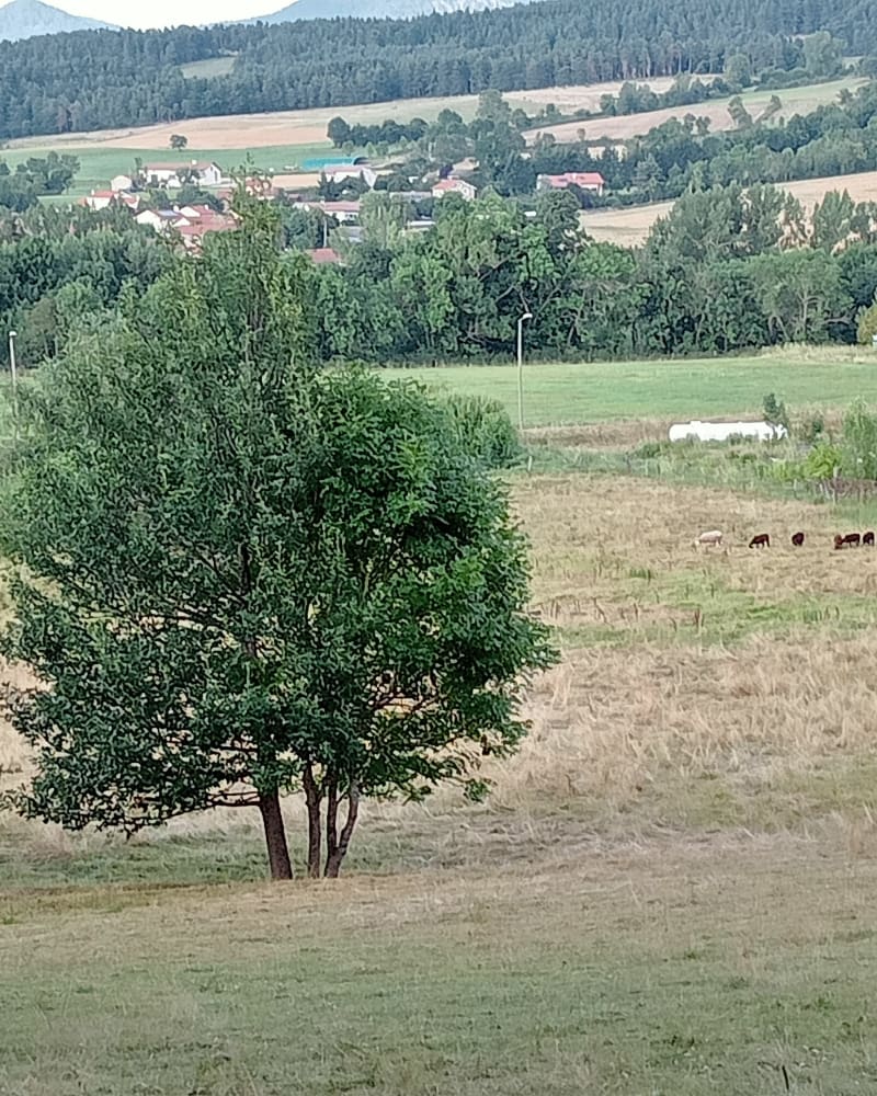 Balades vers Lantriac - Lantriac