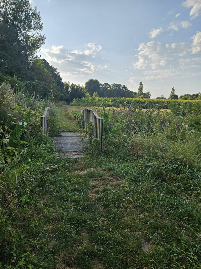 Autour de la commune de Rou Marson - Rou-Marson