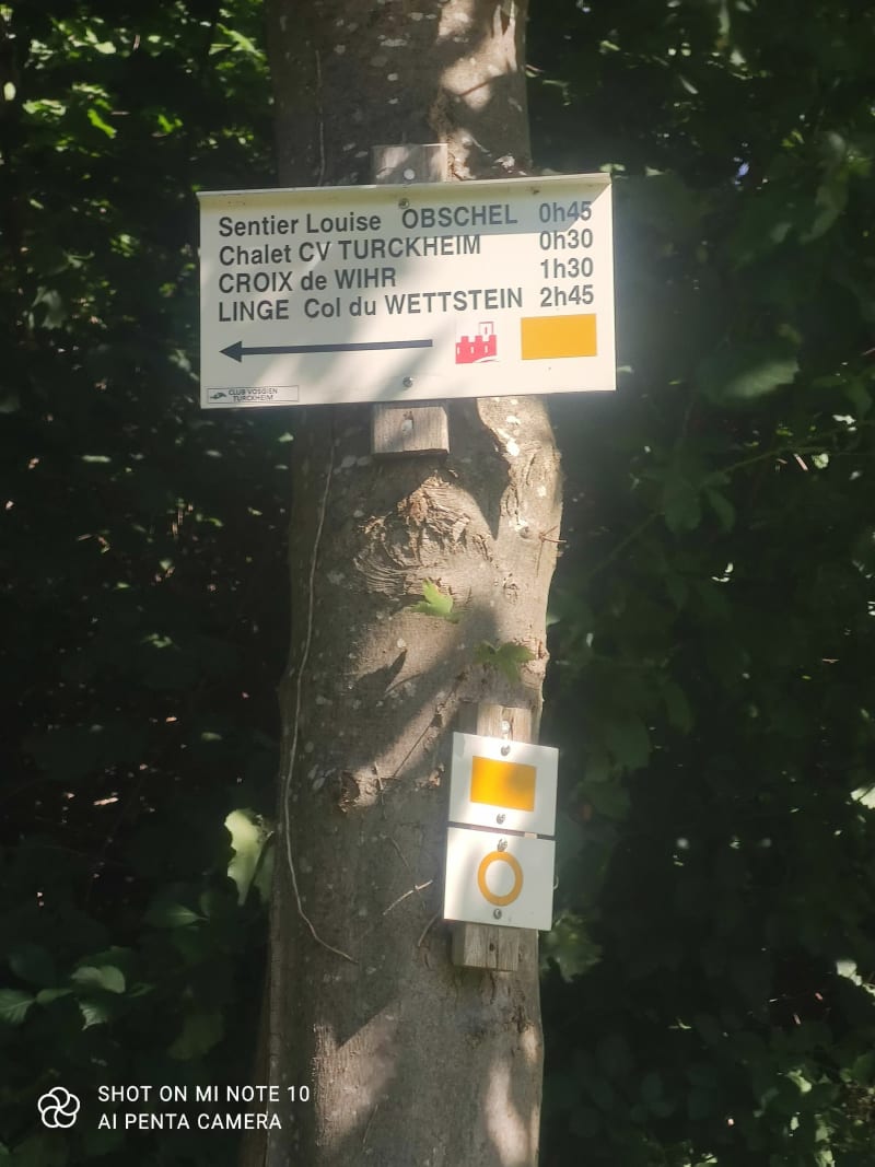 Sentier Louise aux 3 épis - Turckheim