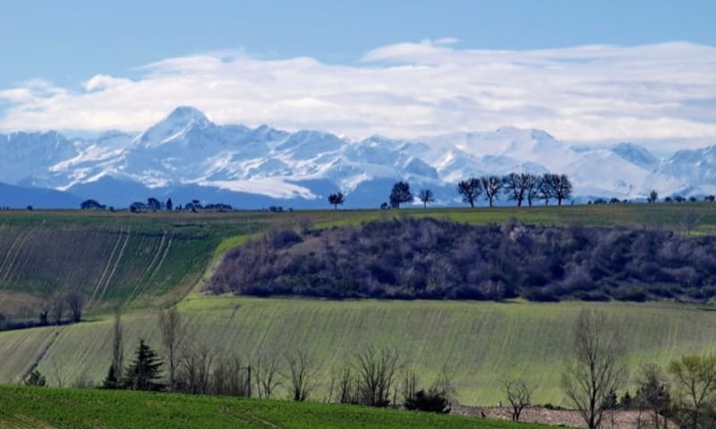 Sortie vallonnée dans le lauragais avec vue sur les Pyrénées - Ramonville-Saint-Agne