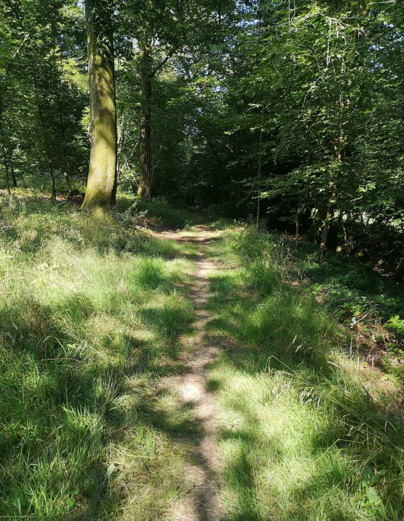 Forêt de Créquy et ses alentours - Créquy