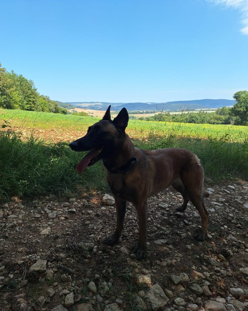 Balade au-dessus de Gissey-sur-Ouche - Gissey-sur-Ouche