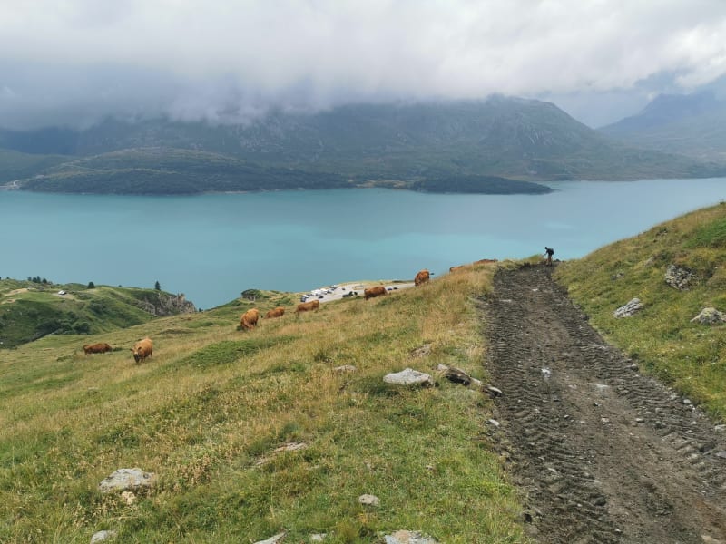 Chemin des 2000 et Fort de Ronce - Val-Cenis