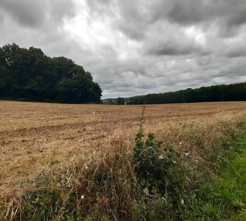 Boucle entre Le Mans et Neuville-sur-Sarthe - Le Mans