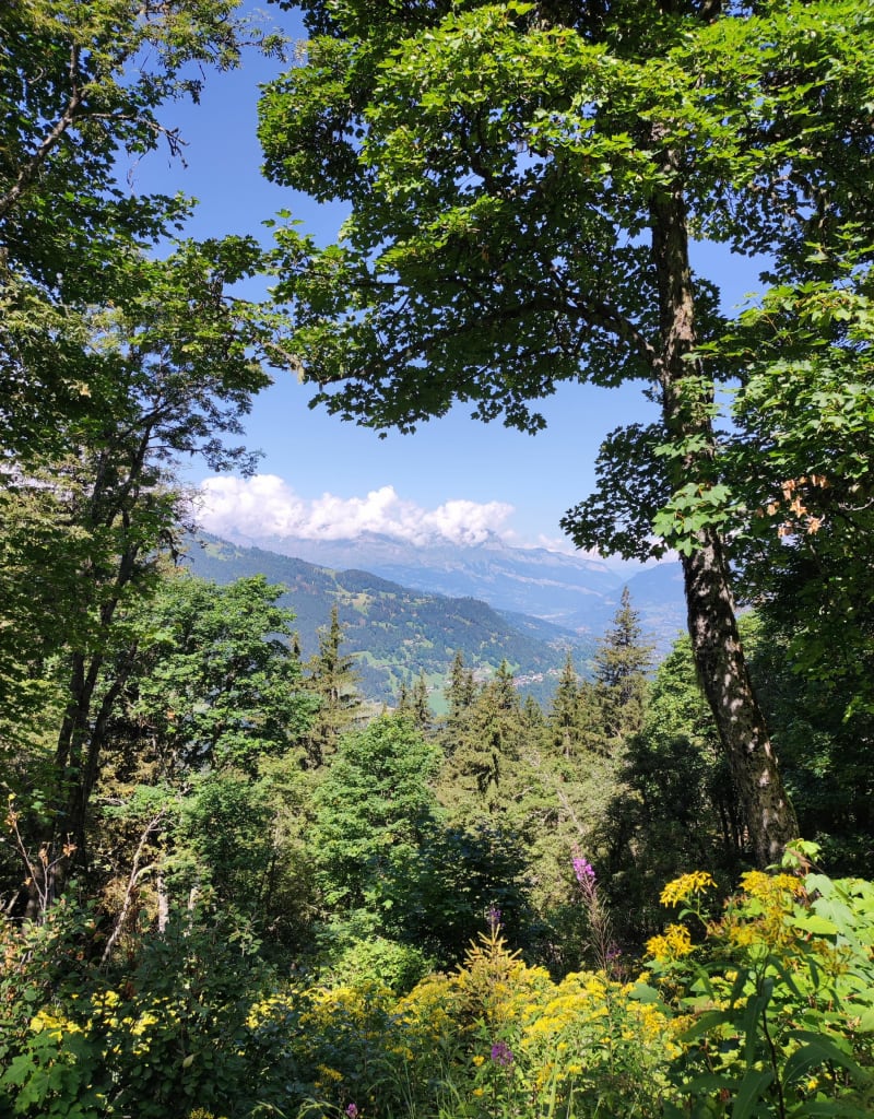 Chalet du Truc et descente par les Chalets du Miage - Les Contamines-Montjoie