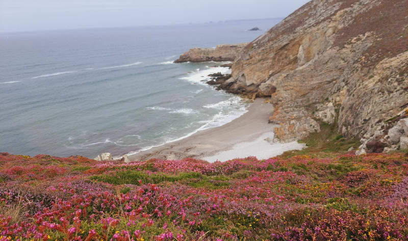Boucle du cap de la Chèvre - Crozon