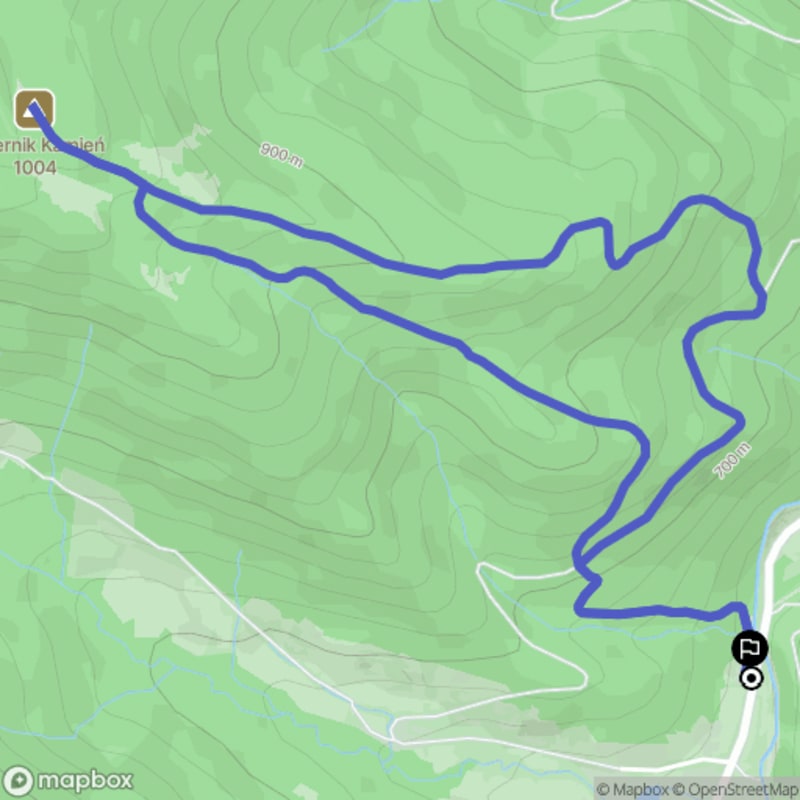 5,7 km Trudna wędrówka na szczyt Dwernik-Kamień - Nasiczne