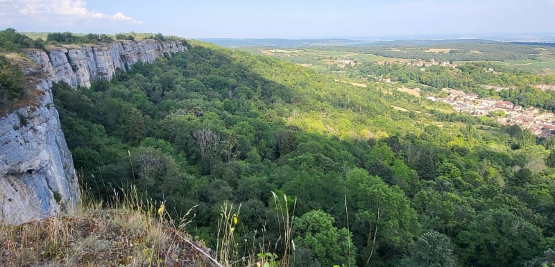 Belle balade entre vignes et les falaise depuis Saint-Romain par Baubigny - Saint-Romain