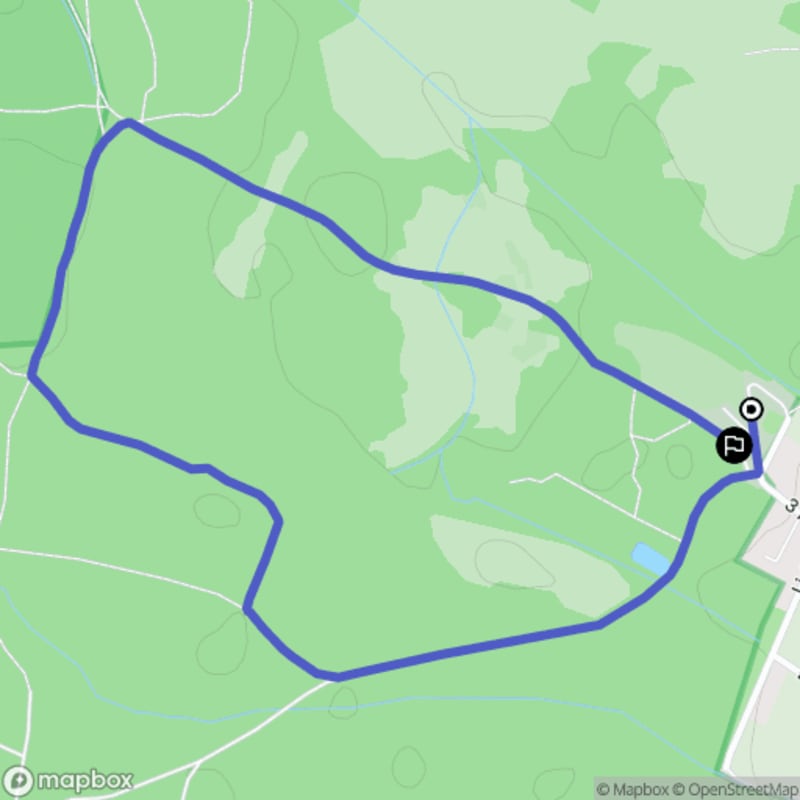 Wymagająca wędrówka o długości 2,7 km - pętla niebieskiego szlaku w Kampinoskim Parku Narodowym - Truskaw