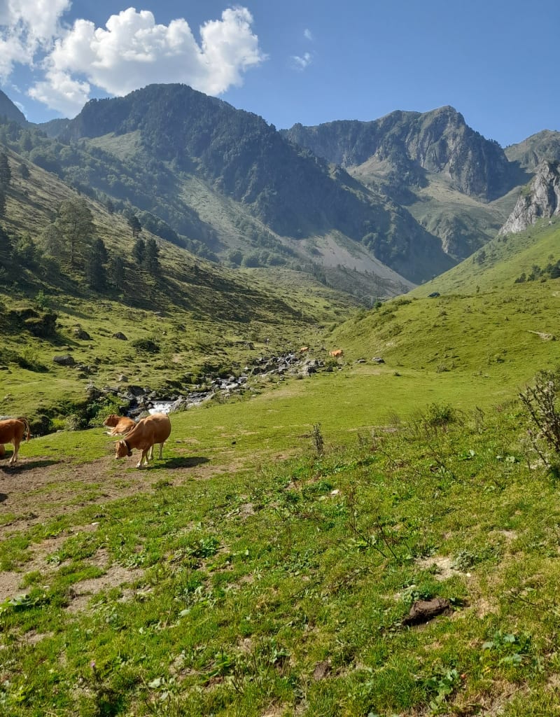 Autour de Gambasque - Cauterets