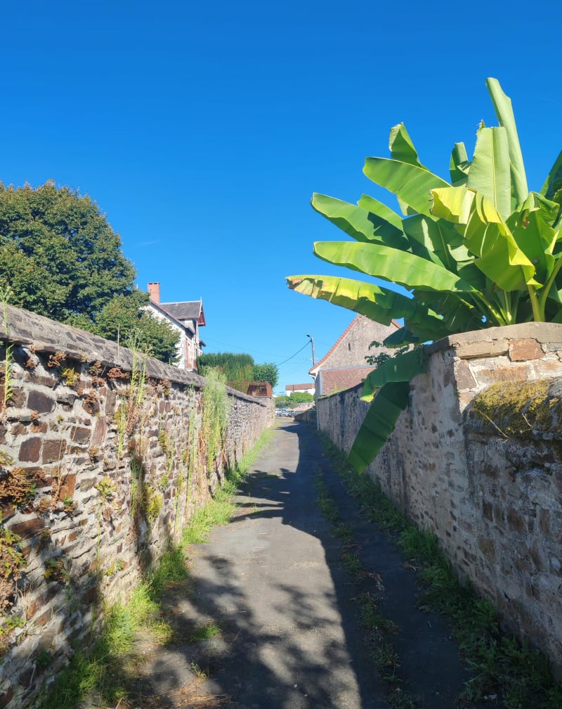 Saint-Yrieix la perche et ces meilleurs spots - Saint-Yrieix-la-Perche