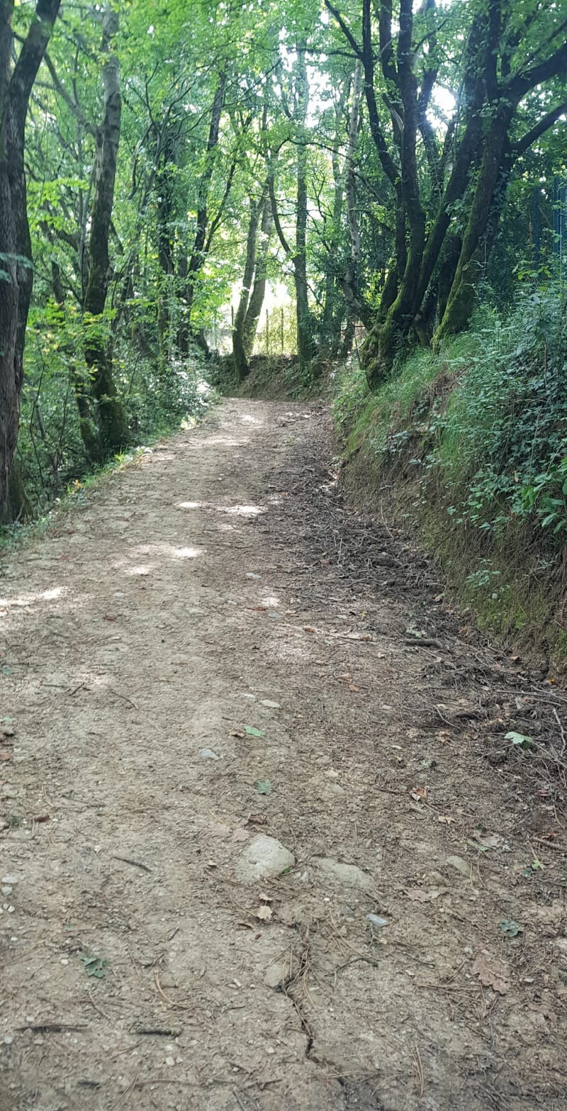Roche bise, au dessus du Mont Jalla - Grenoble