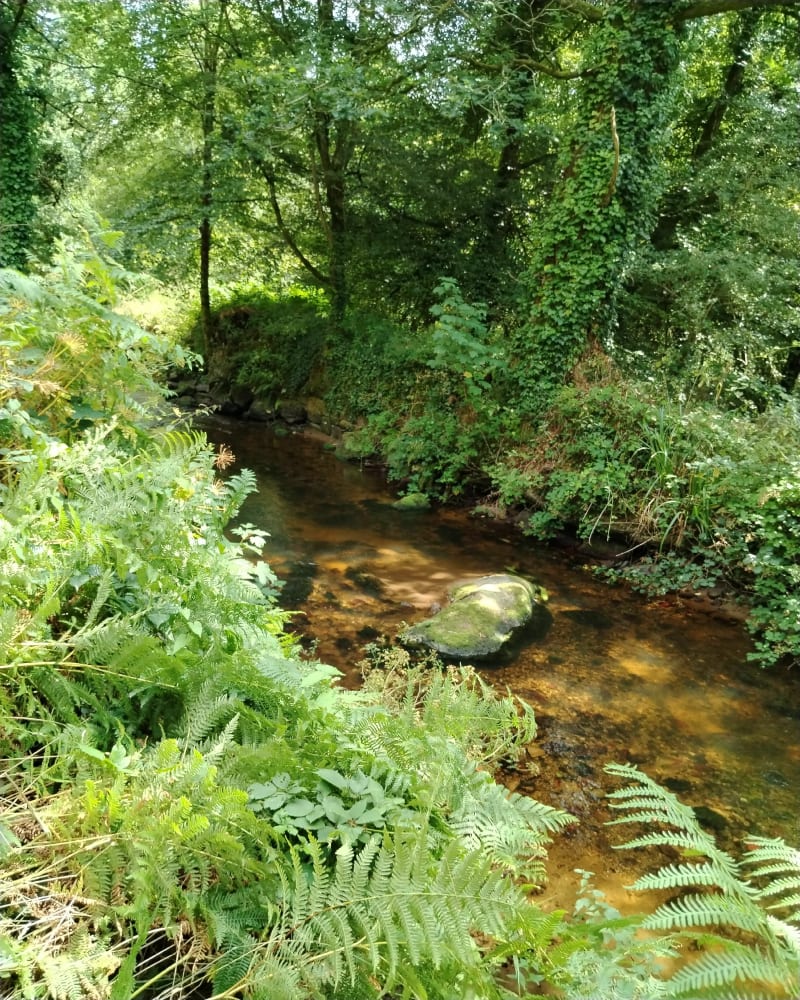 Randonnée à Gaudin - Saint-Brandan