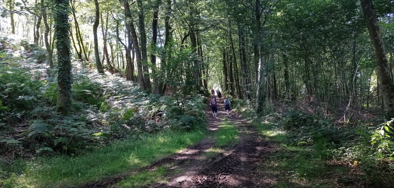 Le Tertre Montécot - Le Teilleul