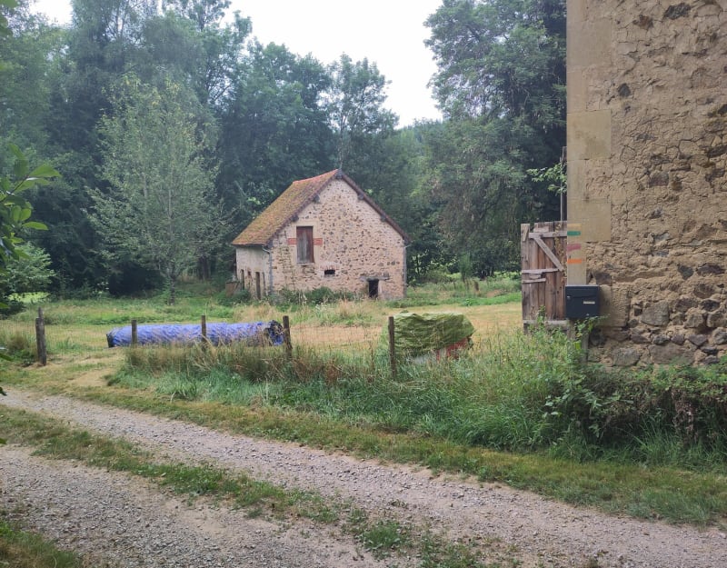 Balade dans le bois de Chatenet - Saint-Léger-de-Fougeret