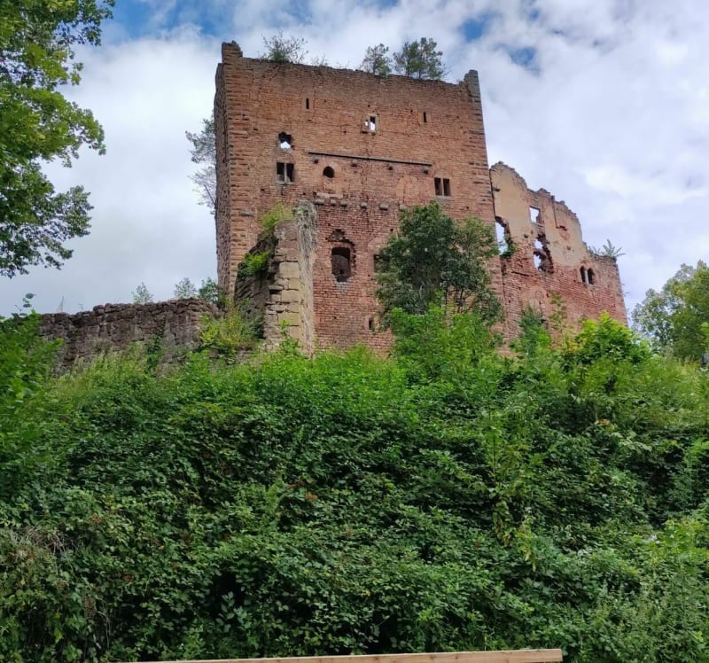 Château d'Ottrott et ruines du Koepfel - Ottrott