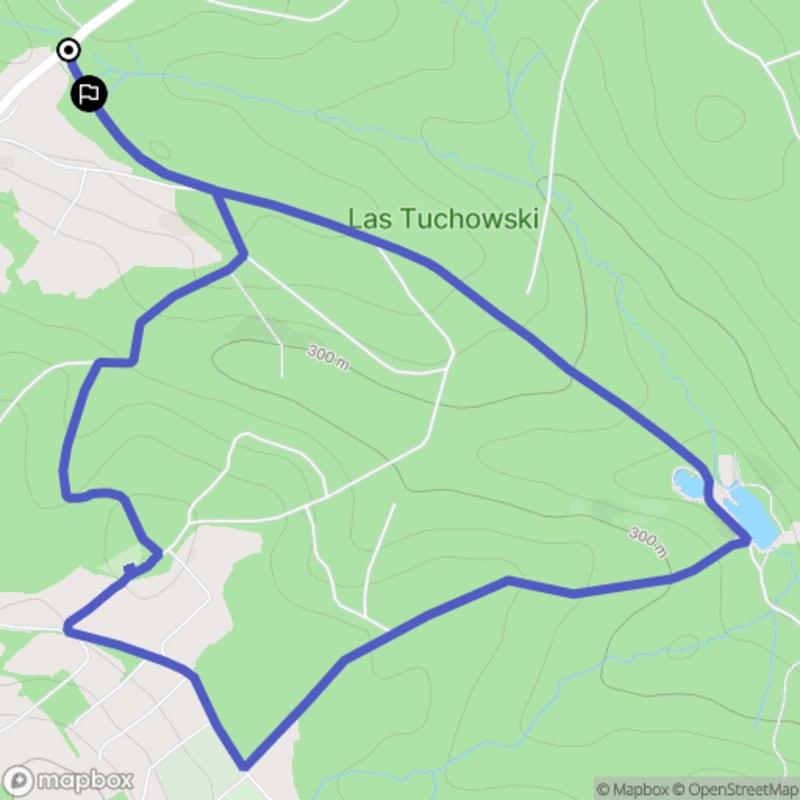 Trudna 4-kilometrowa wędrówka w Tuchowskim Lesie - Tuchów