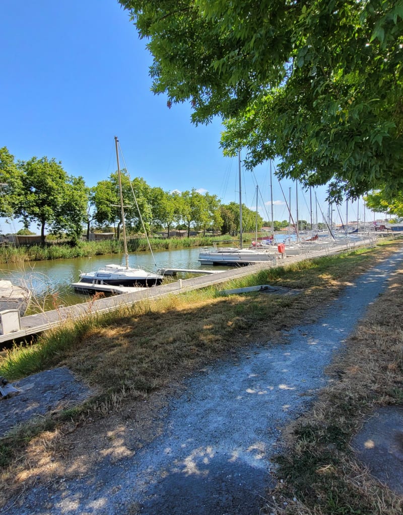 De Marans aux anciennes écluses du Brault - Marans