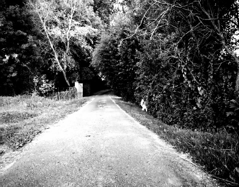 Balade semi-nocturne à St-Vincent-des-Prés - Saint-Vincent-des-Prés
