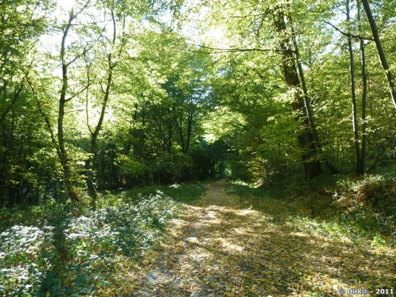 Dourdan - Saint Martin - Angervilliers - Dourdan