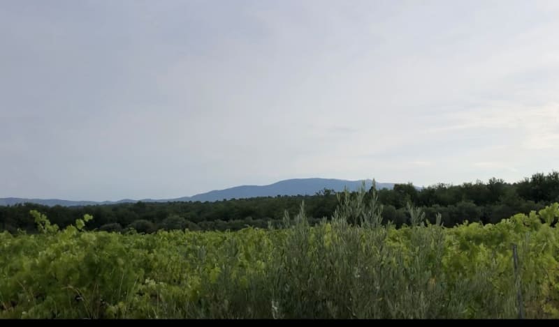 De Caromb à Mazan en passant par Bedoin - Caromb