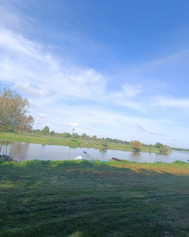 Ecouflant, bord de Sarthe - Écouflant