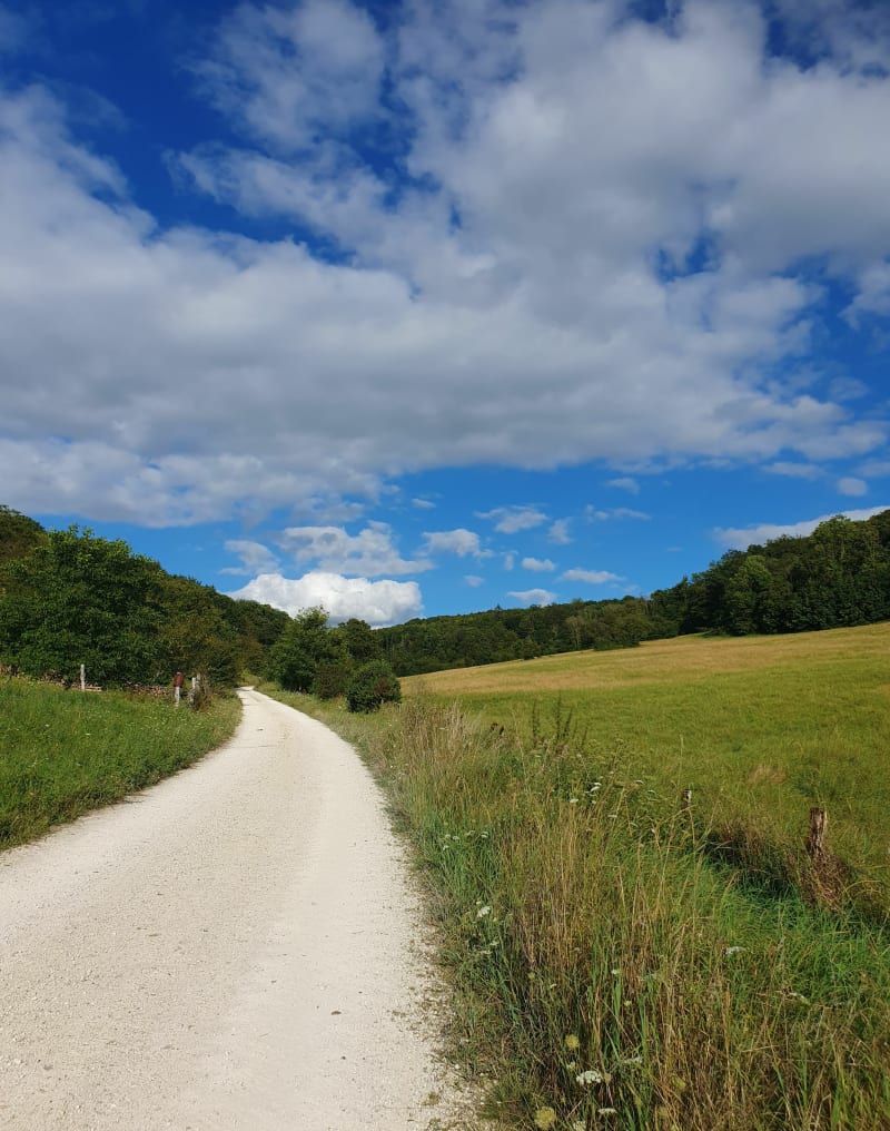Boucle au départ de Resson par la forêt de Sainte-Geneviève - Resson