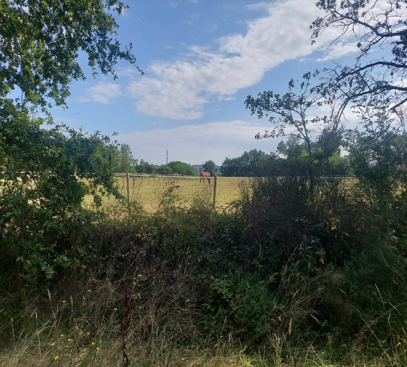 Voie verte de Nohic vers Bressols - Villemur-sur-Tarn