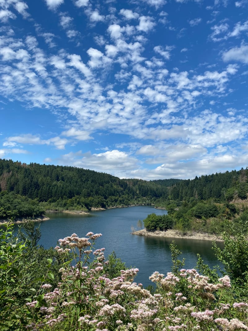 Lac des Cammazes et La Rigole - Les Cammazes