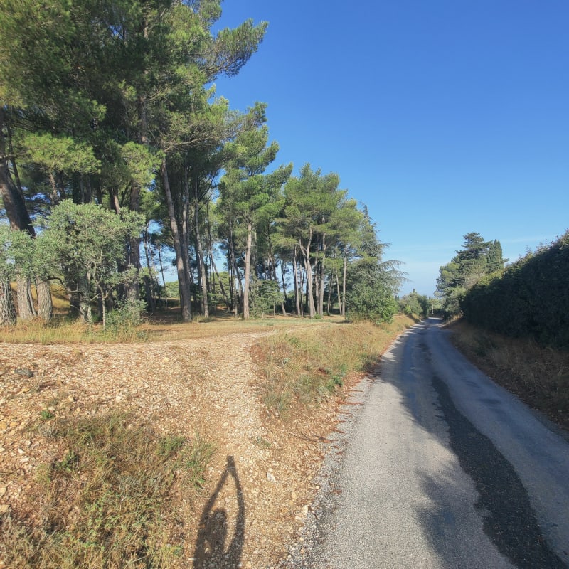 Balade au calme Saint Rémy - Saint-Rémy-de-Provence
