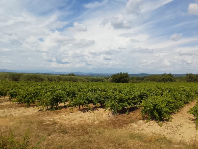 Découverte de Martignargues - Martignargues